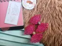 Pink Net Bow Hair Clips with Pearl & Stone Center – Elegant Designer Hair Accessories for Girls & Women (Set of 2)